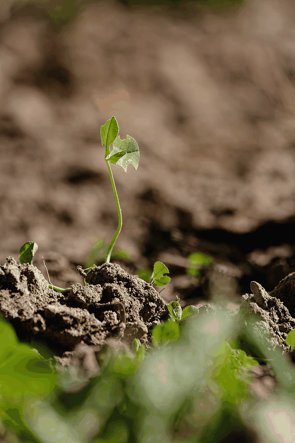 AI implementation roadmap, technology workflow, data analysis