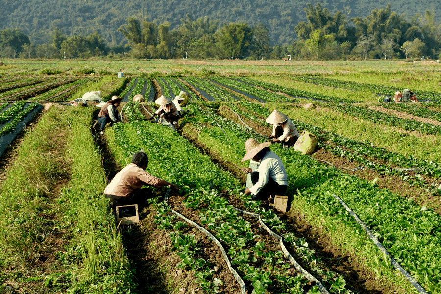 debt burden analysis, liquidity risk assessment, financial workshop